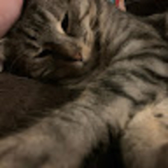 Meet your Posher, Juman - Picture 1 of 1